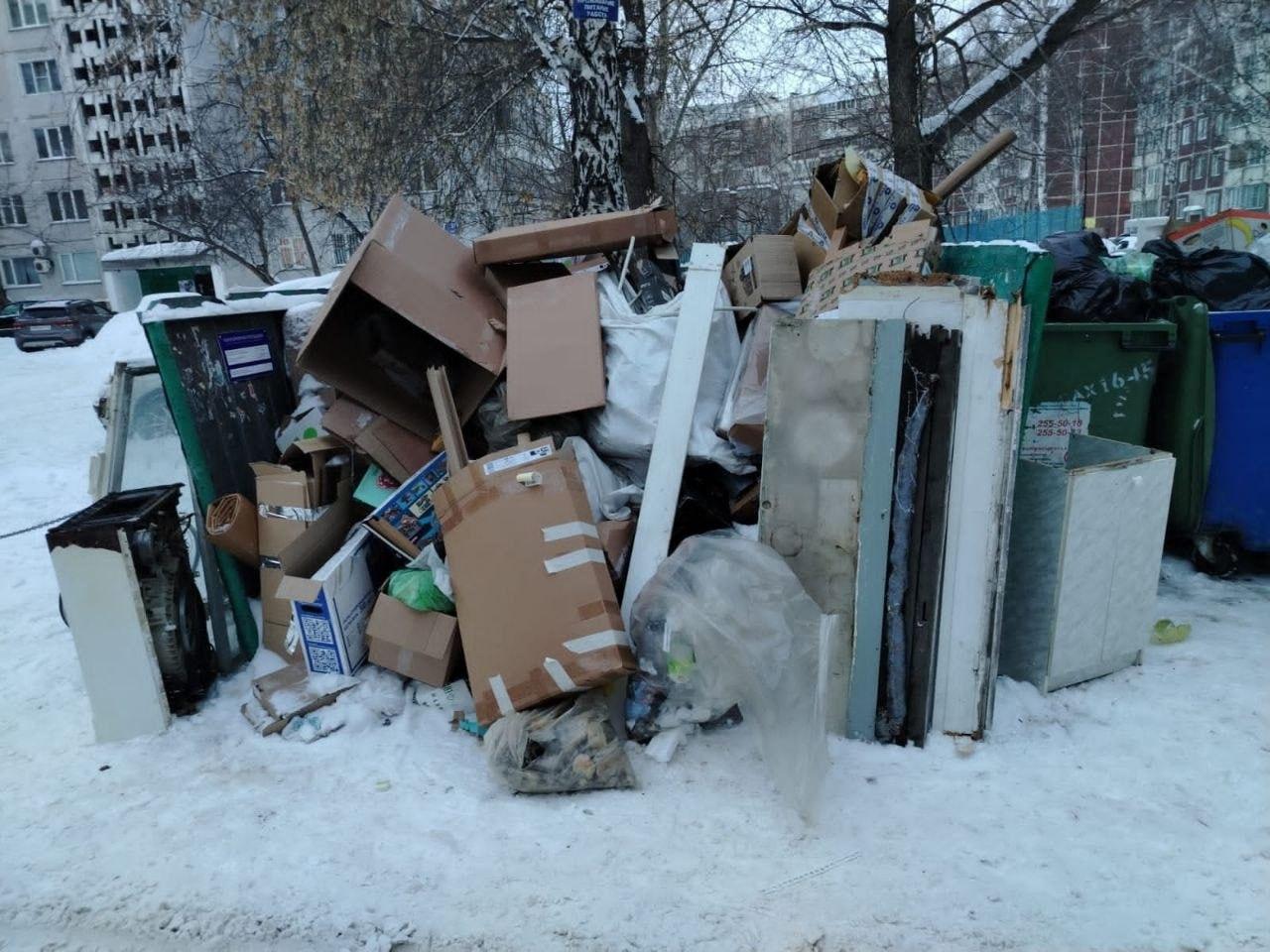 Фото Жители Новосибирска заявили Путину о перебоях с вывозом мусора 2 - Сиб.ФМ Фото Жители Новосибирска заявили Путину о перебоях с вывозом мусора 2